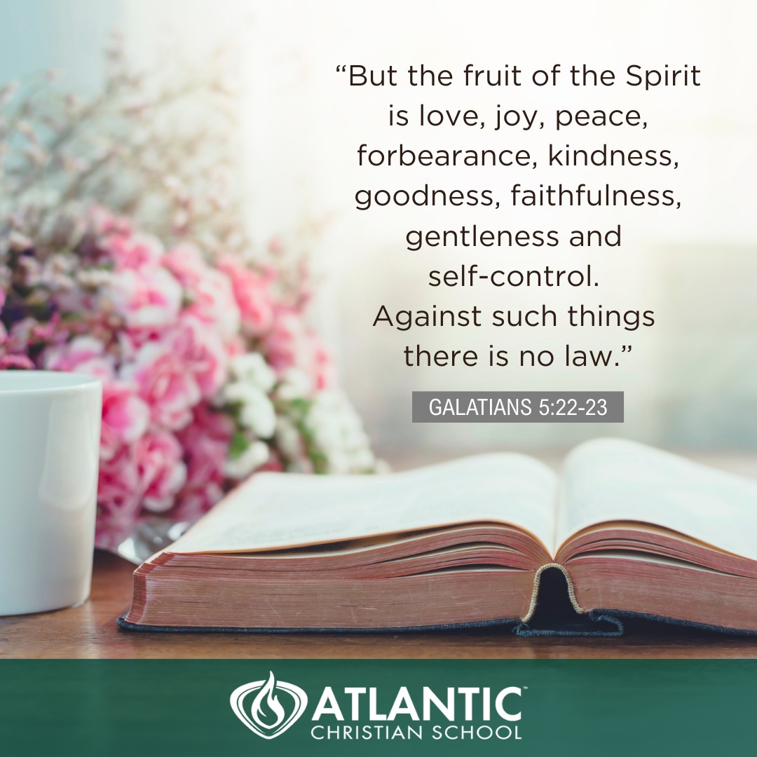 "But the fruit of the Spirit is love, joy, peace, forbearance, kindness, goodness, faithfulness, gentleness and self-control. Against such things there is no law." - Galatians 5:22-23