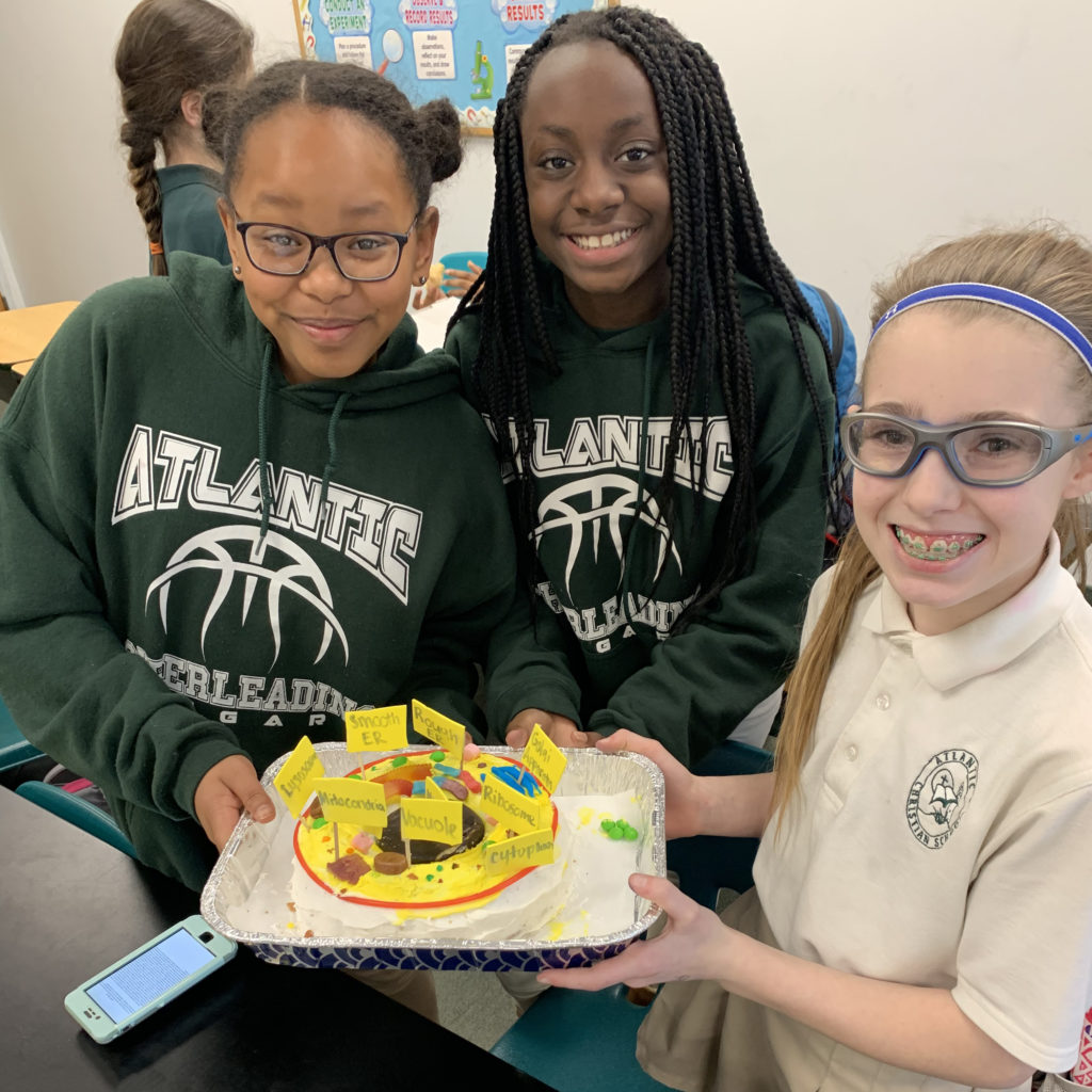6th Grade Science Class Creates Edible Cell Models – Atlantic Christian  School