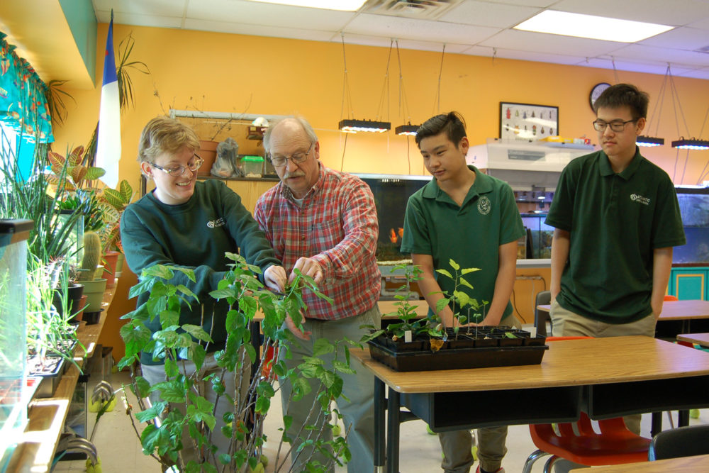 Horticulture & Woodworking High School Classes Team Up in School Garden