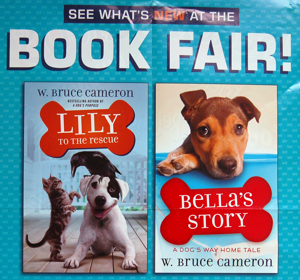 Scholastic Book Fair – Atlantic Christian School