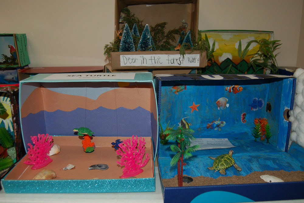 Classroom Cameo: 2nd Graders Learn About Habitats and the Animals That  Thrive in Them – Atlantic Christian School