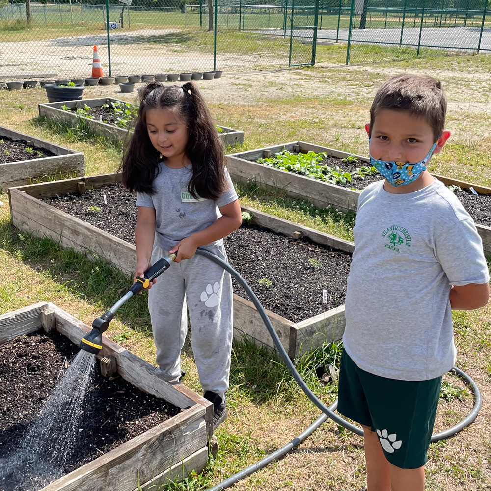 Students Enjoy Planting Herbs, Vegetables in School Garden, Learn about ...