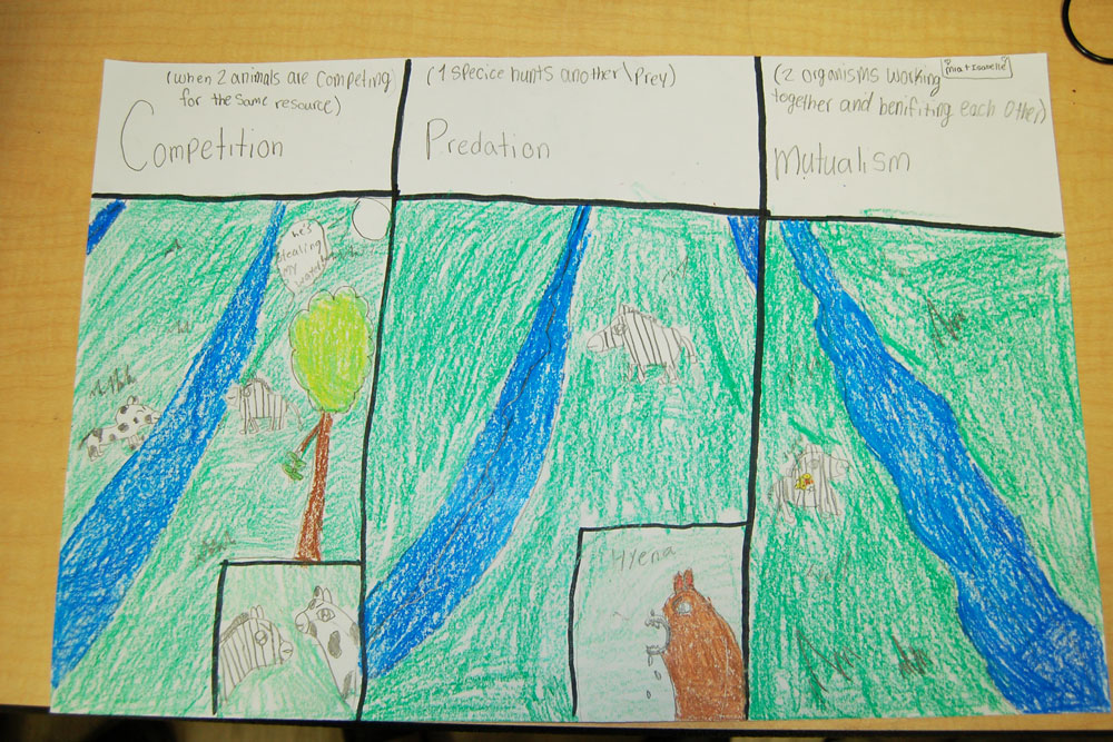 Classroom Cameo: 5th Grade Science Poster Project Focuses on Ecosystems ...