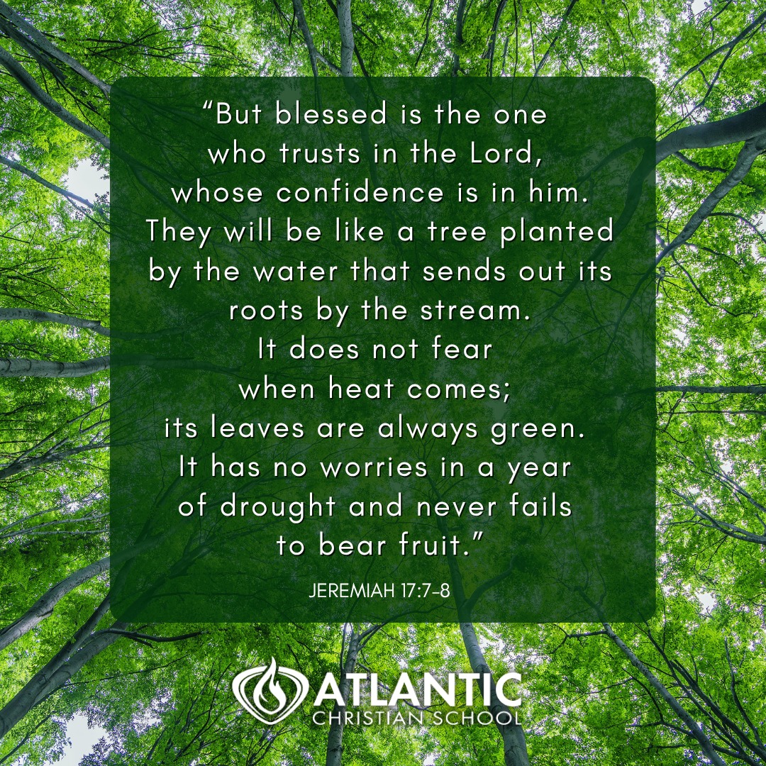 “But blessed is the one who trusts in the Lord, whose confidence is in him.  They will be like a tree planted by the water that sends out its roots by the stream.  It does not fear when heat comes; its leaves are always green. It has no worries in a year of drought and never fails to bear fruit.” - Jeremiah 17:7–8