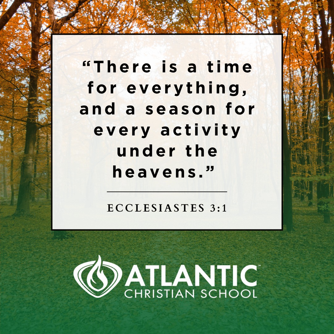 "There is a time for everything, and a season for every activity under the heavens." Ecclesiastes 3:1