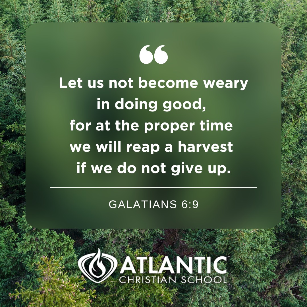 "Let us not become weary in doing good, for at the proper time we will reap a harvest if we do not give up." - Galatians 6:9